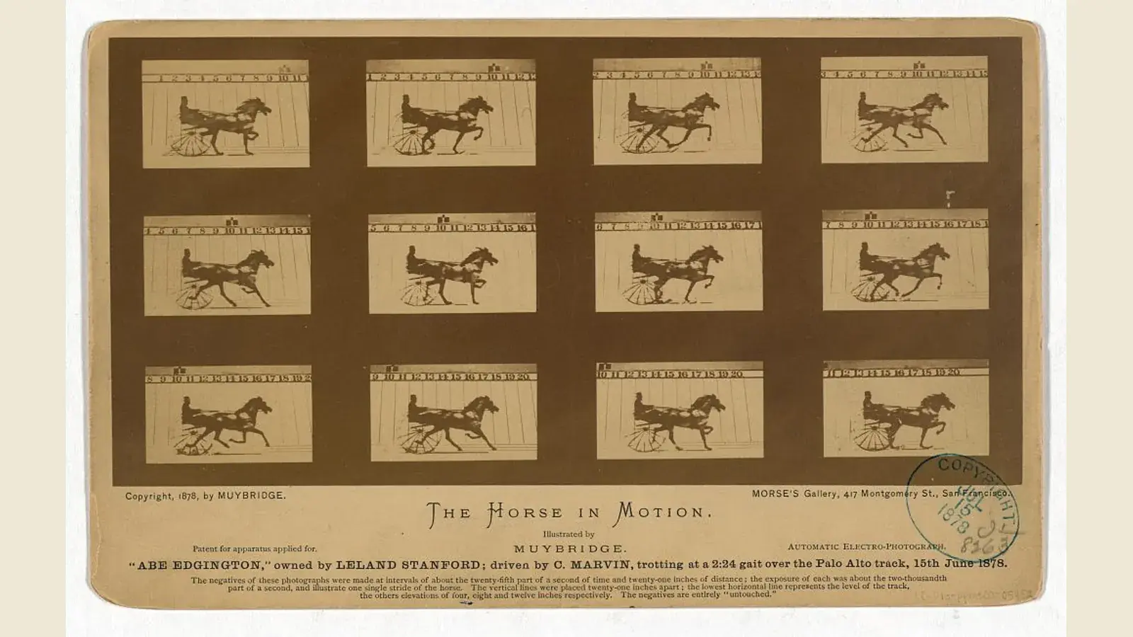 Muybridge’in 1878 tarihli orijinal at hareketi fotoğraf serisi